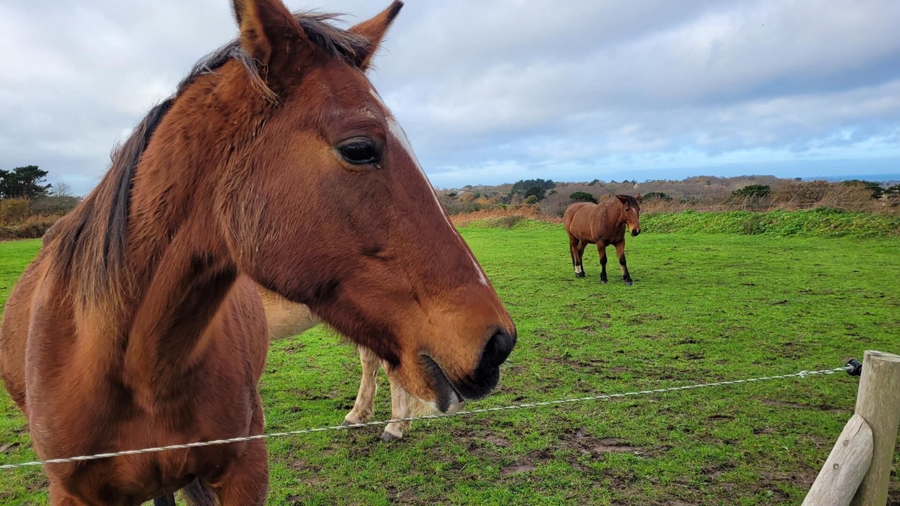 Photo of Outdoor in Plougrescant