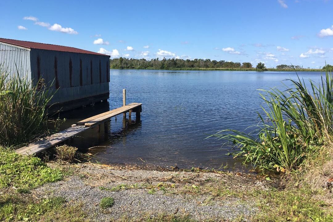 Photo of Others in Des Allemands