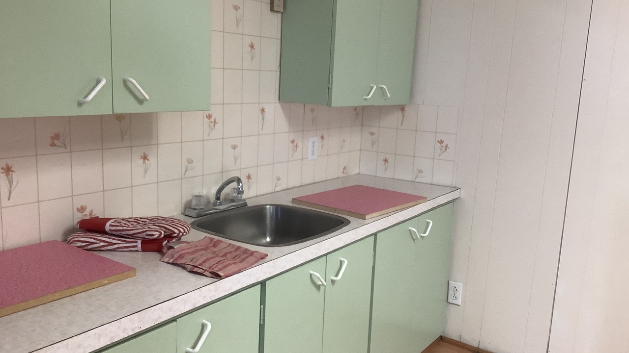 Photo of Kitchen in Birtle