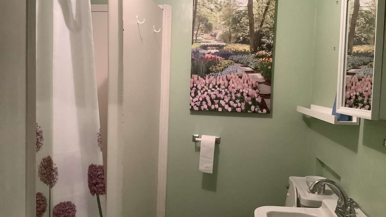 Photo of Bathroom in Birtle