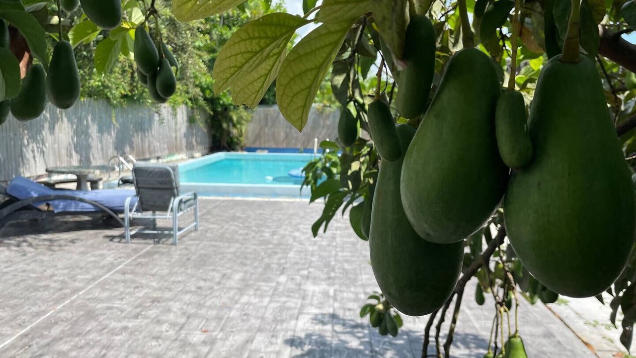 Photo of Outdoor in Ives Estates