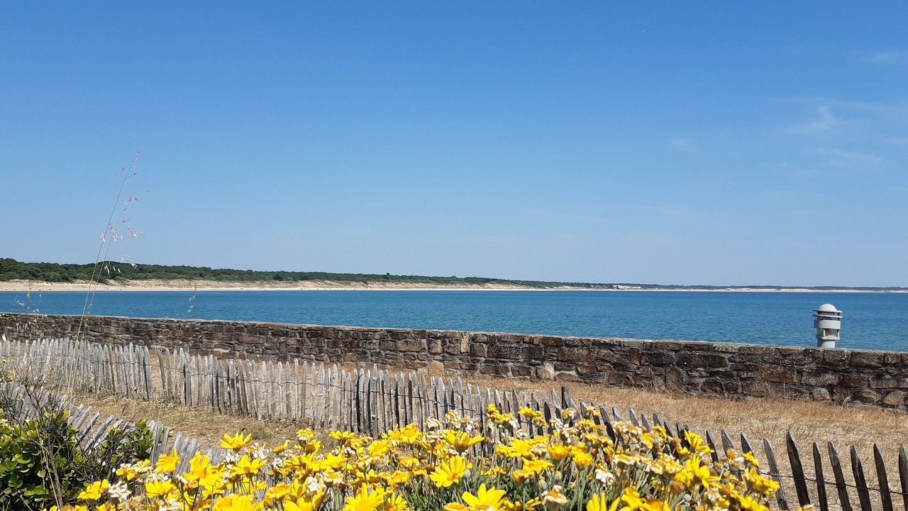 Photo of Outdoor in Saint-Vincent-sur-Jard