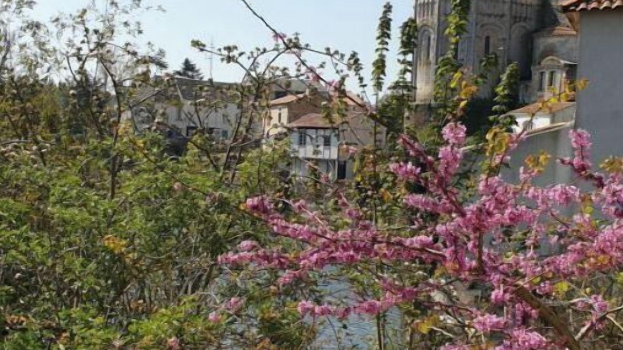 Photo of Outdoor in Mareuil-Sur-Lay-Dissais