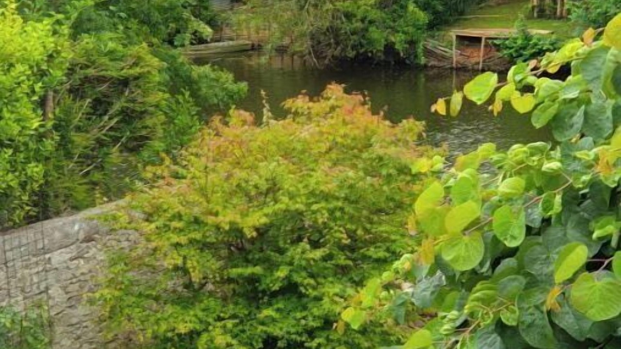 Photo of Outdoor in Mareuil-Sur-Lay-Dissais