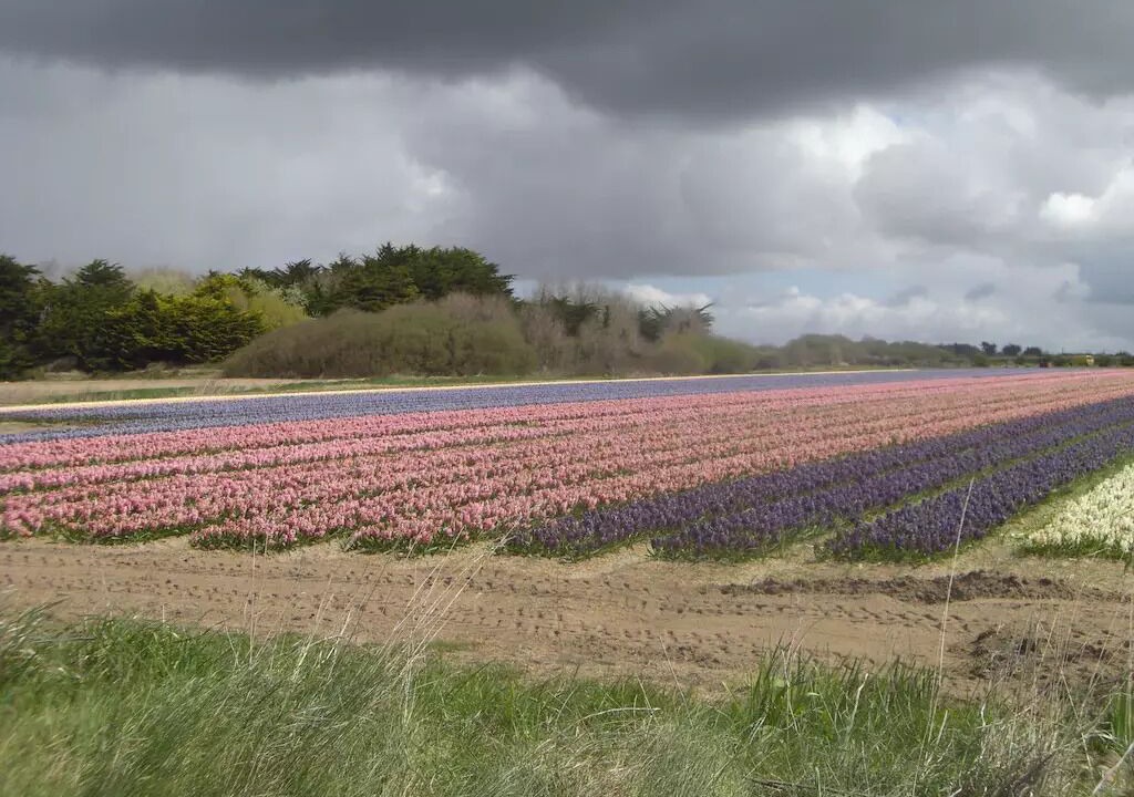 Photo of Others in Plomeur