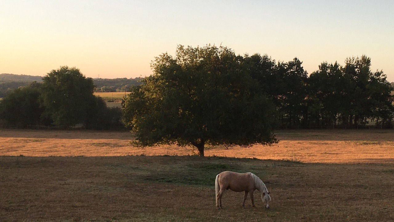 Photo of Outdoor in Saint-Martin-de-Gurson