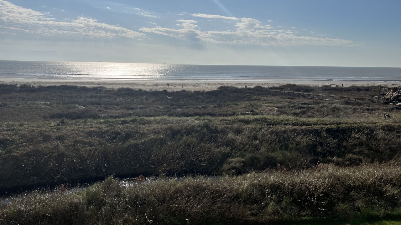 Photo of Others in Galveston