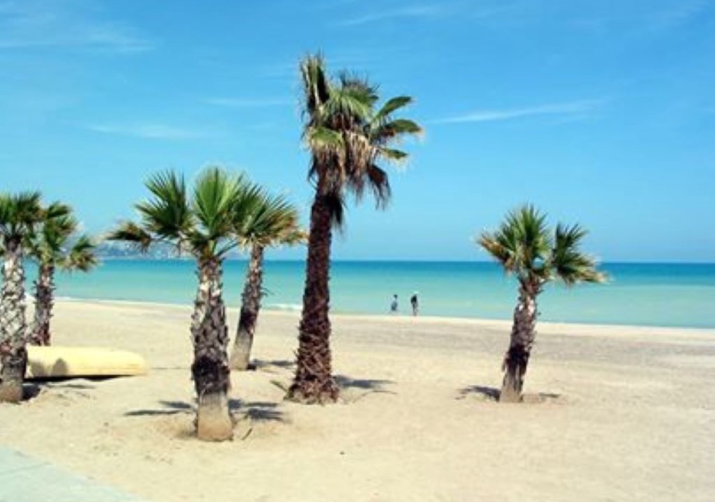 Photo of Others in Benicassim