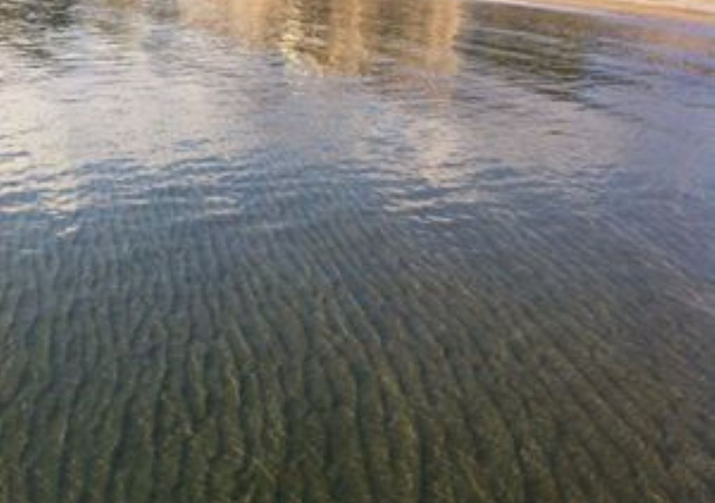 Photo of Others in Benicassim