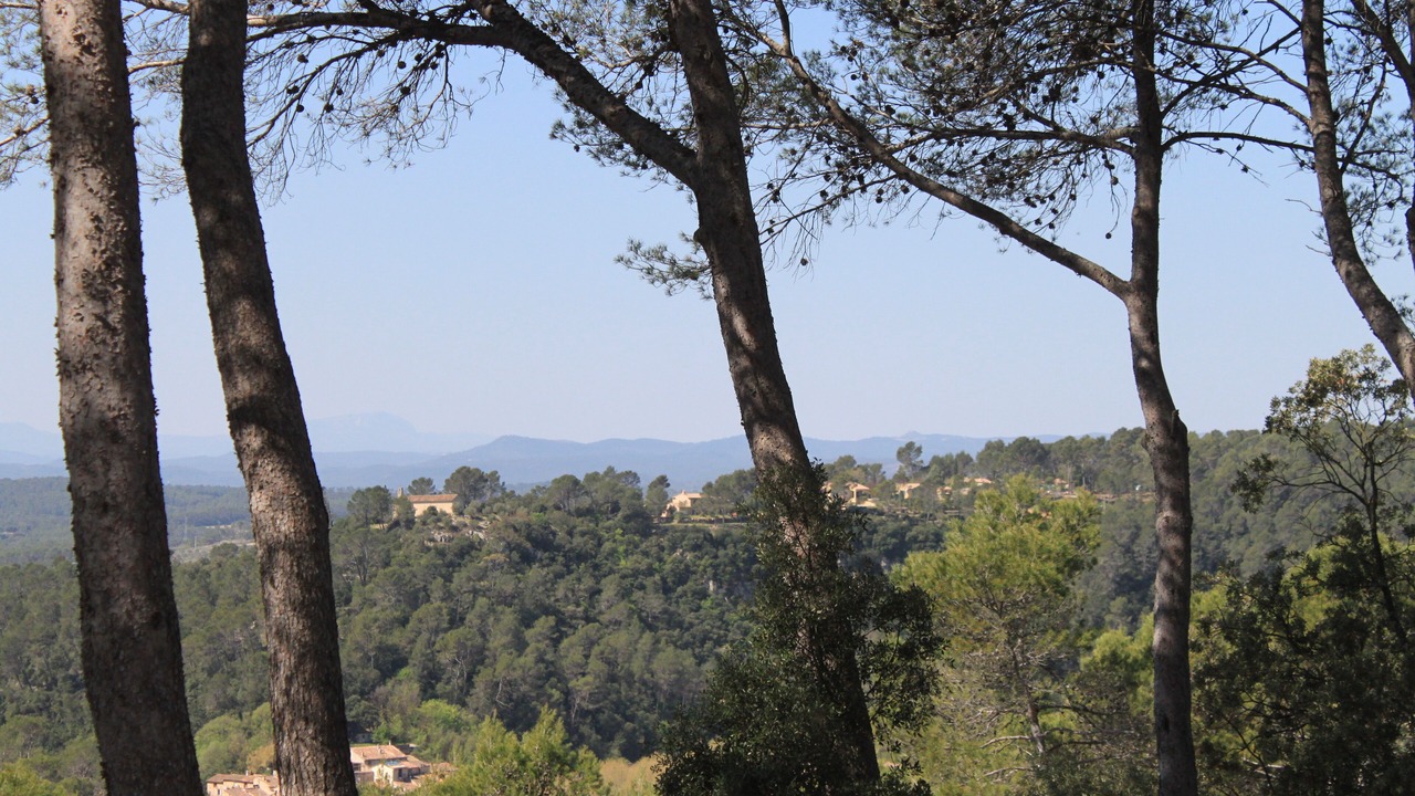 Photo of Others in Entrecasteaux