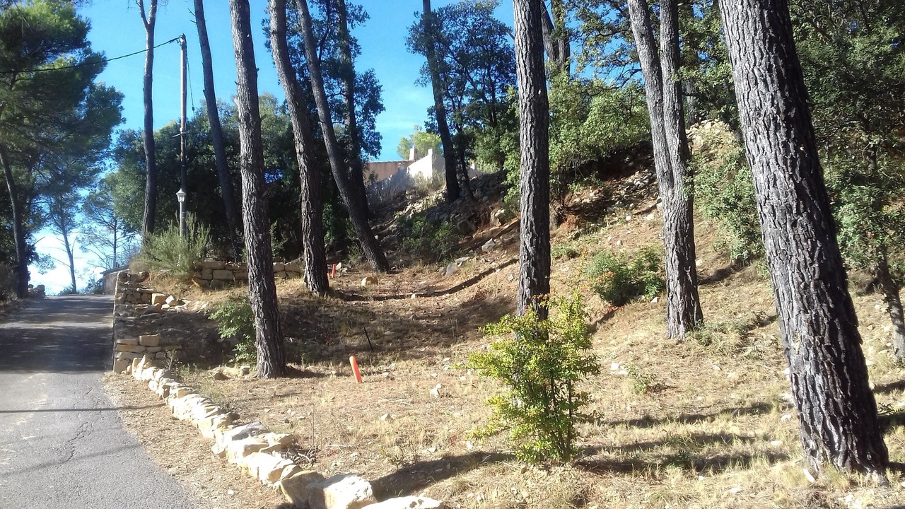 Photo of Outdoor in Entrecasteaux