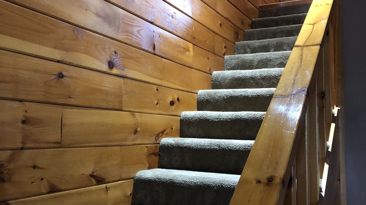 Photo of Others in Vernon