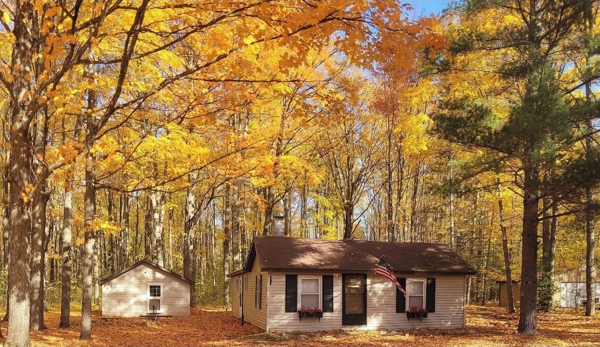 Photo of Outdoor in Kalkaska
