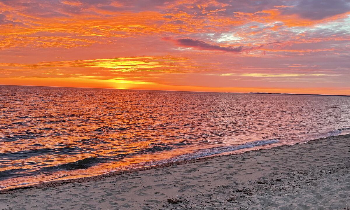 Photo of Others in North Eastham