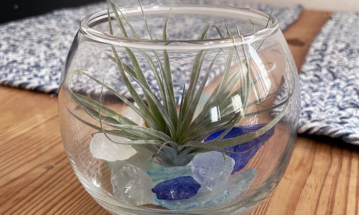 Photo of Others in North Eastham