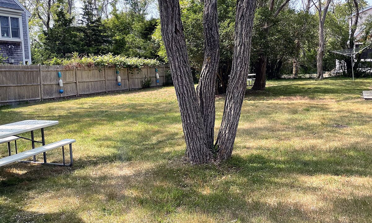 Photo of Outdoor in North Eastham