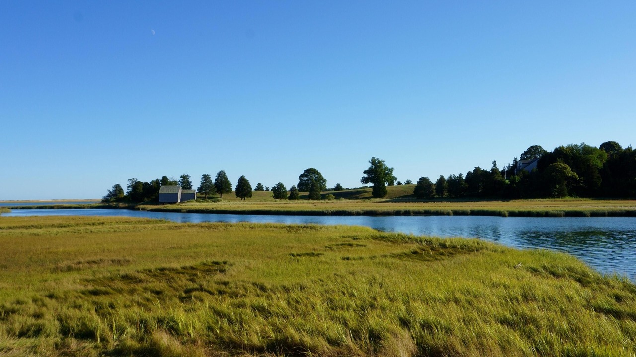 Photo of Outdoor in North Eastham