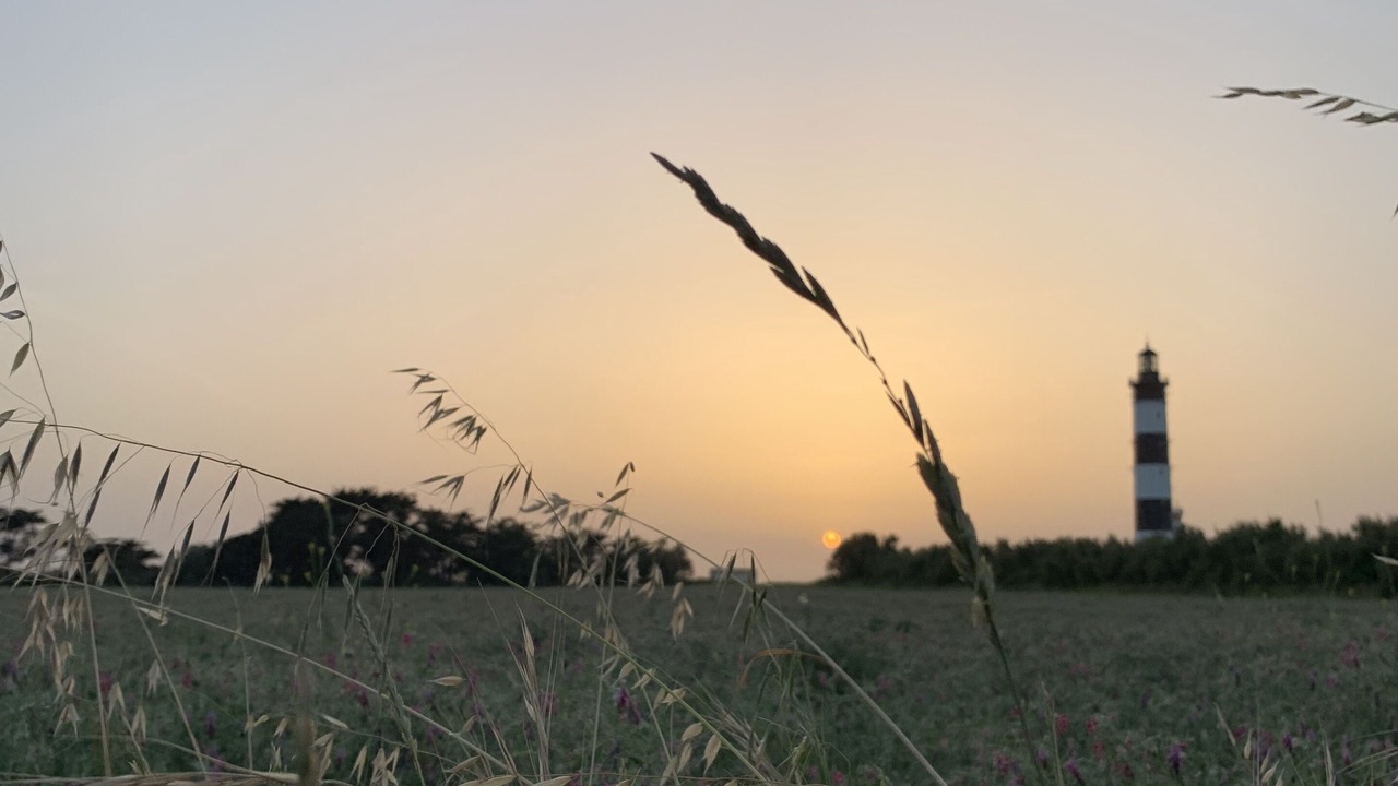 Photo of Others in Cheray