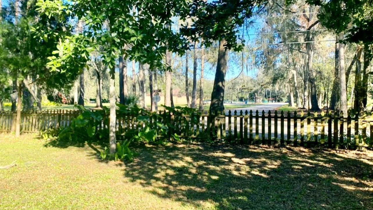 Photo of Outdoor in Micanopy