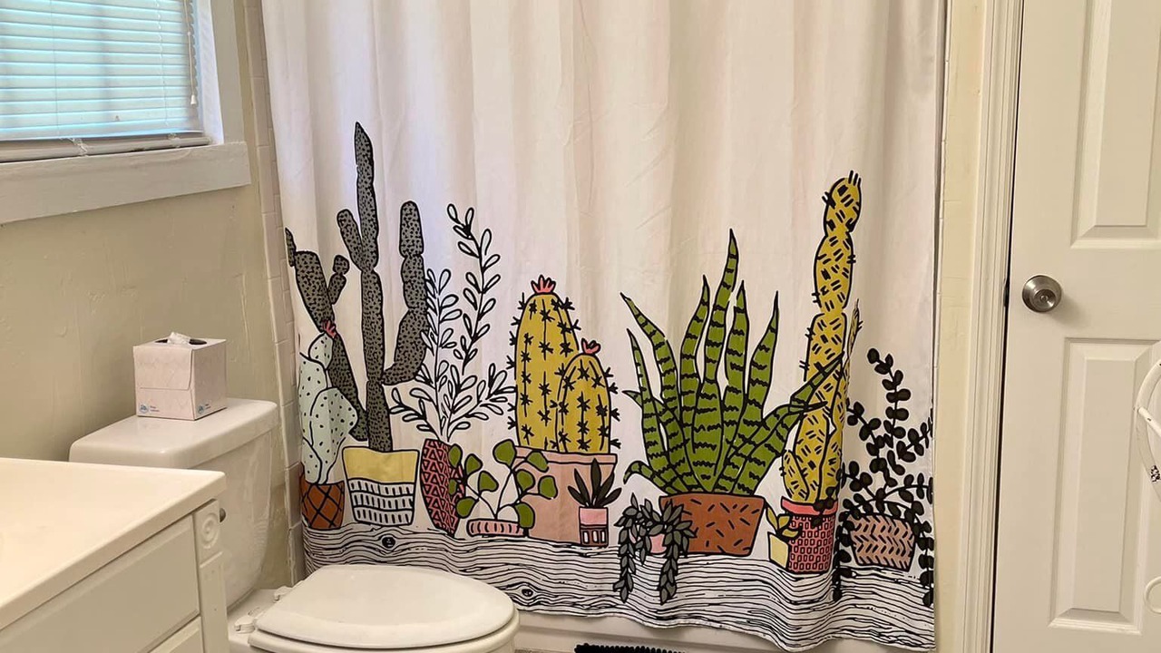 Photo of Bathroom in Micanopy