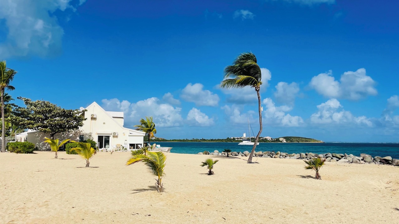 Photo of Others in Nettle Bay