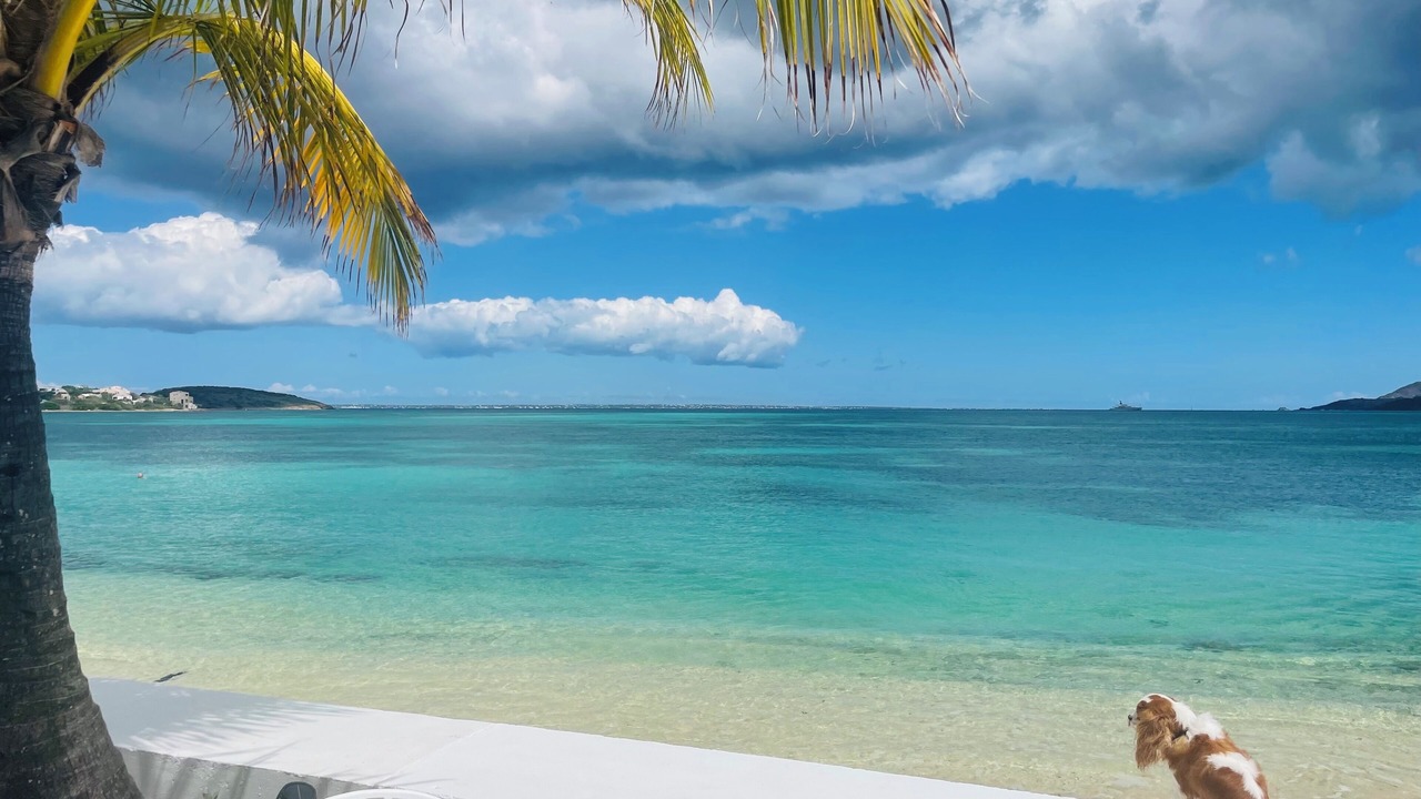 Photo of Outdoor in Nettle Bay