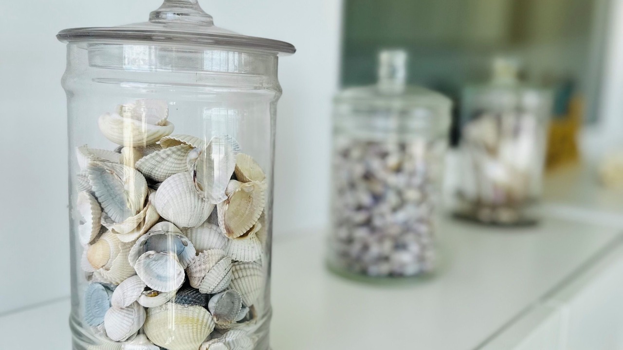 Photo of Others in Nettle Bay