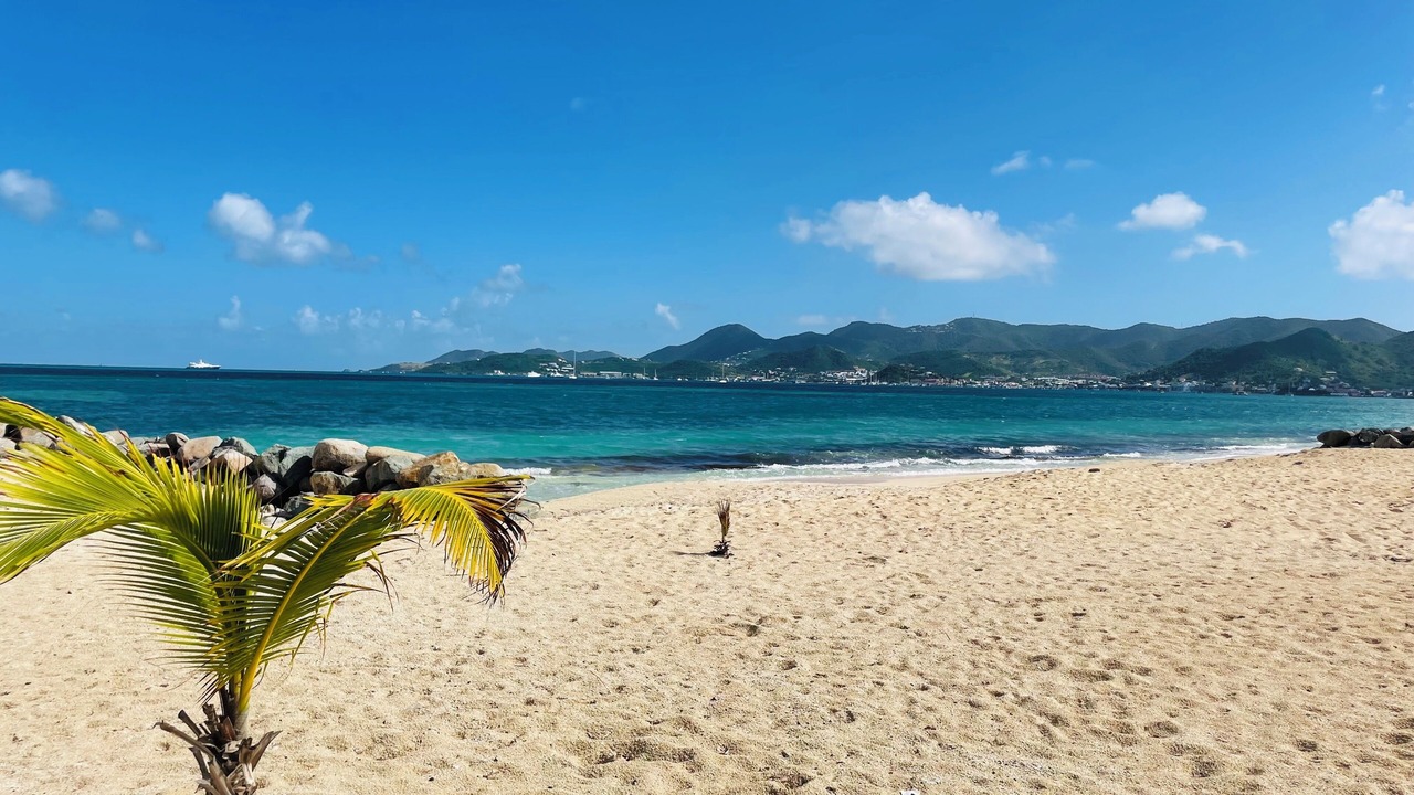 Photo of Others in Nettle Bay