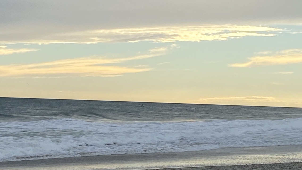 Photo of Others in Cape Carteret