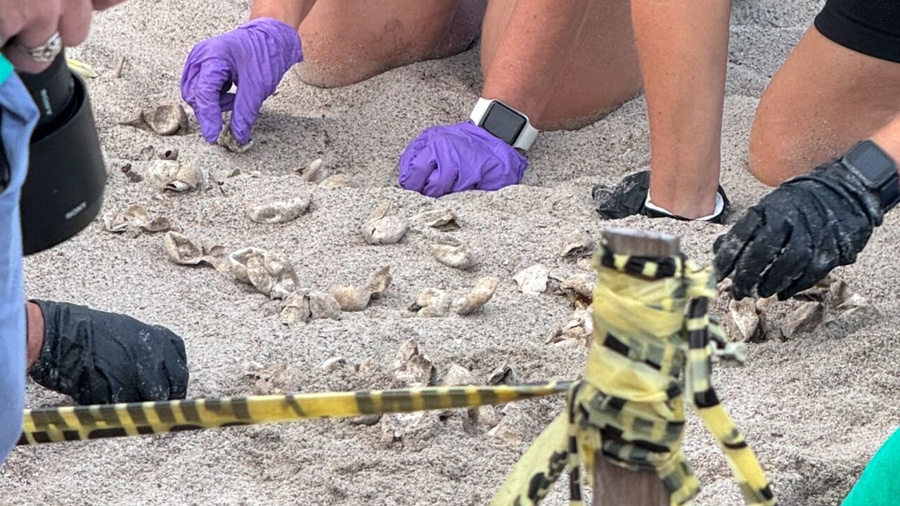 Photo of Others in Cape Carteret