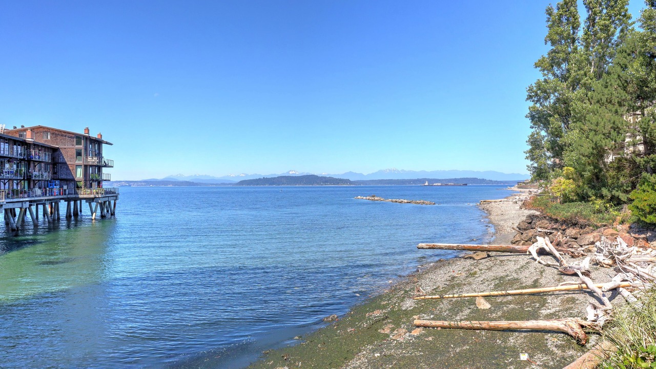 Photo of Others in Alki