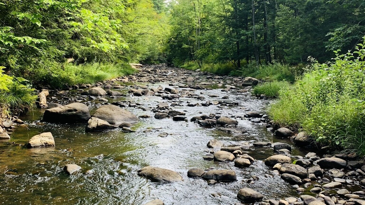 Photo of Others in Johnsburg