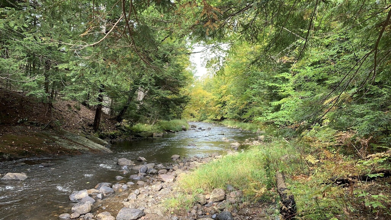 Photo of Others in Johnsburg