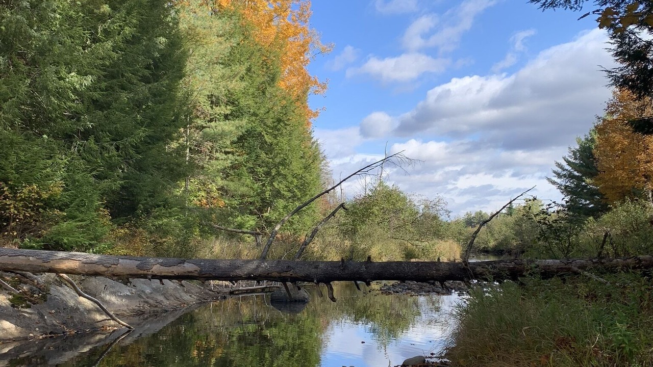 Photo of Others in Johnsburg