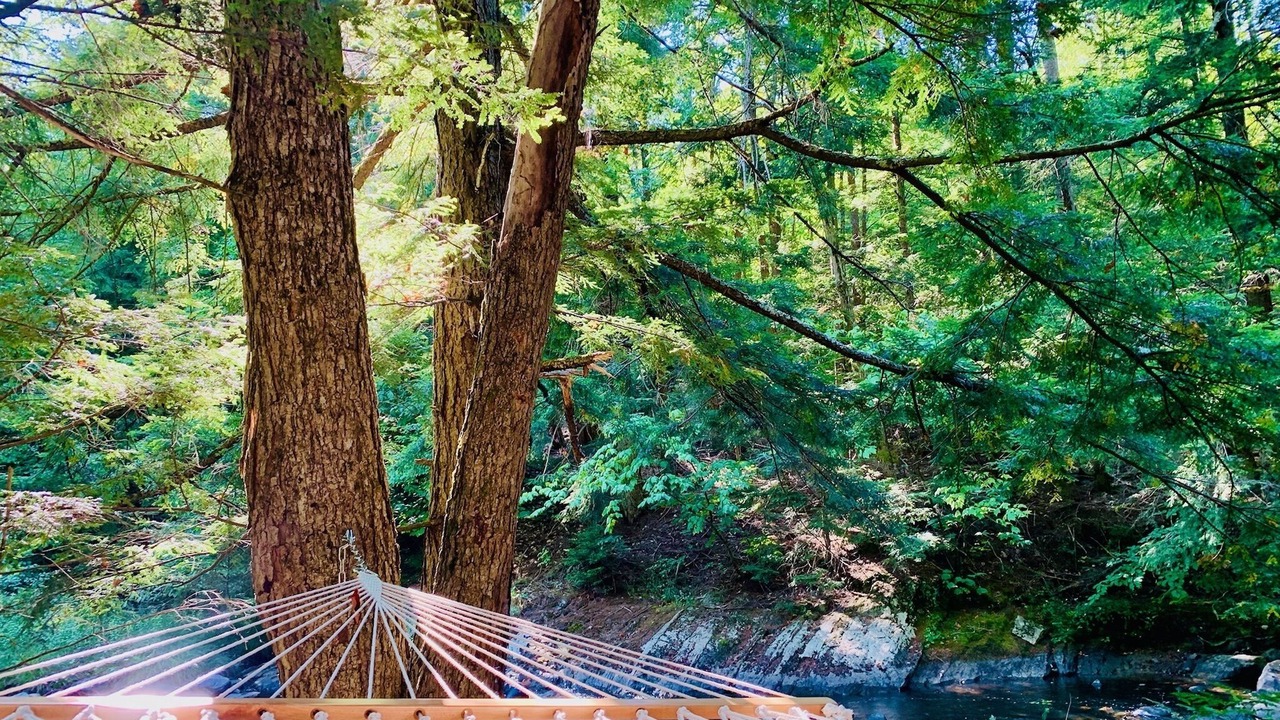 Photo of Others in Johnsburg