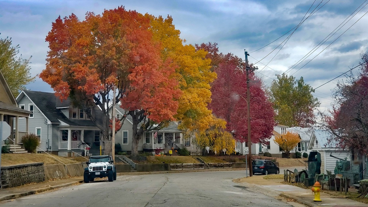 Photo of Outdoor in Washington
