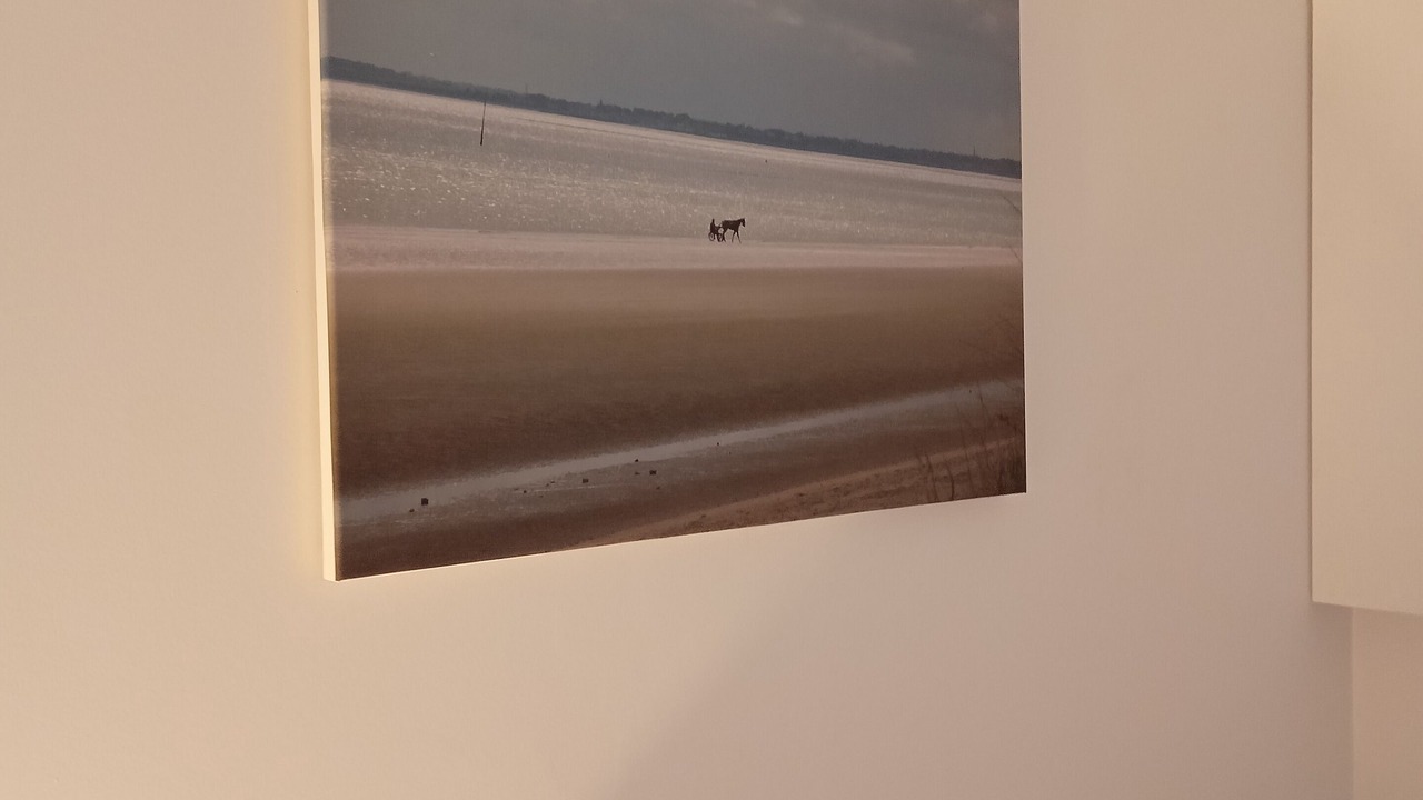 Photo of Others in Mayet