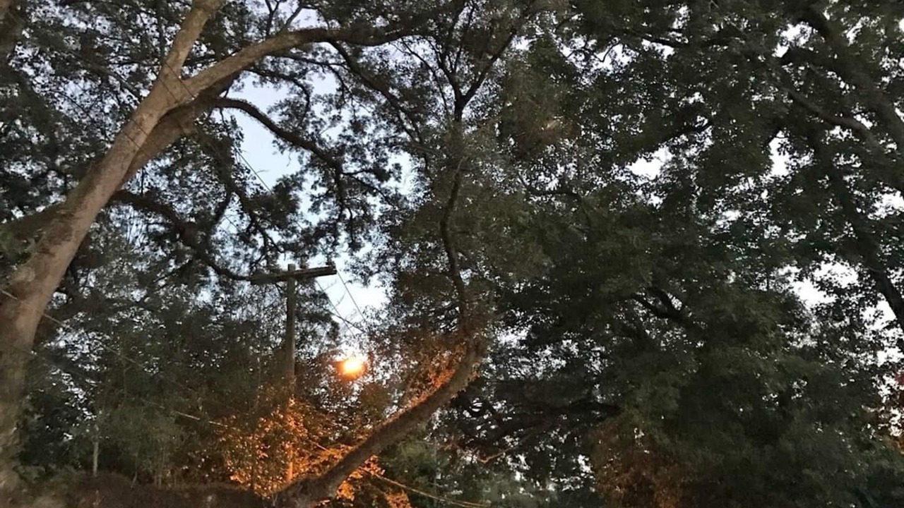 Photo of Others in Old Town