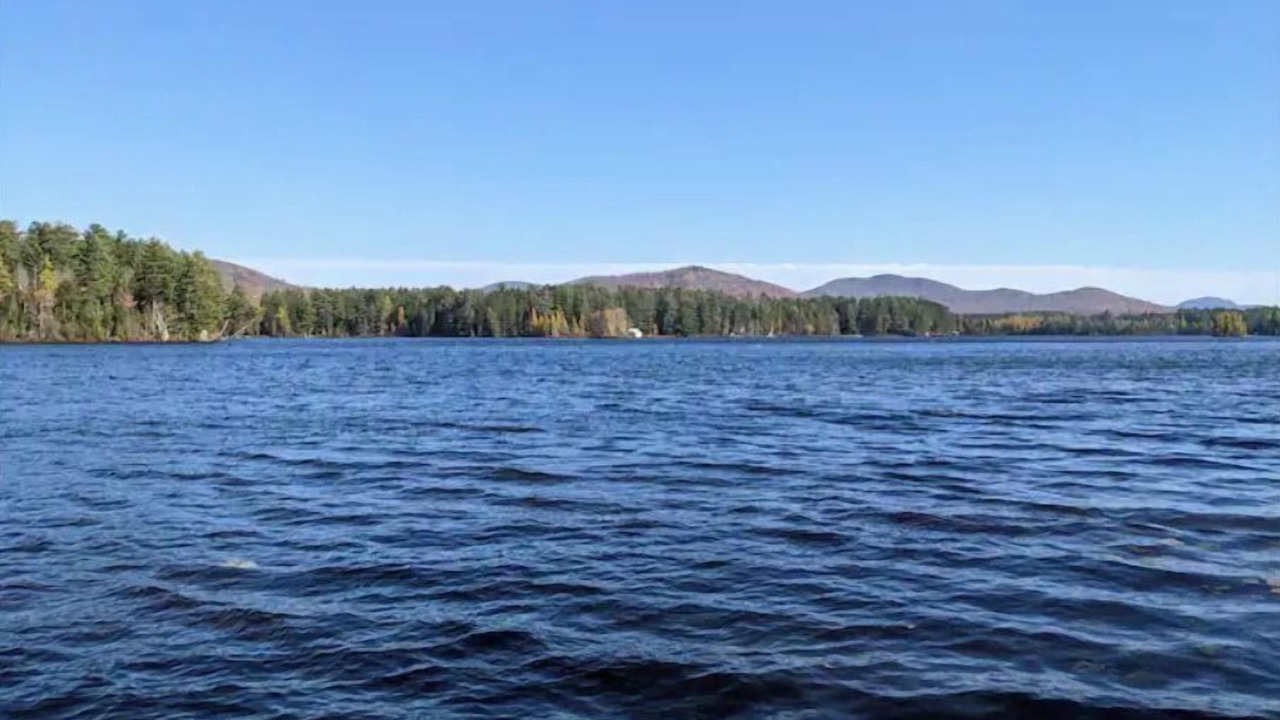 Photo of Others in Owls Head