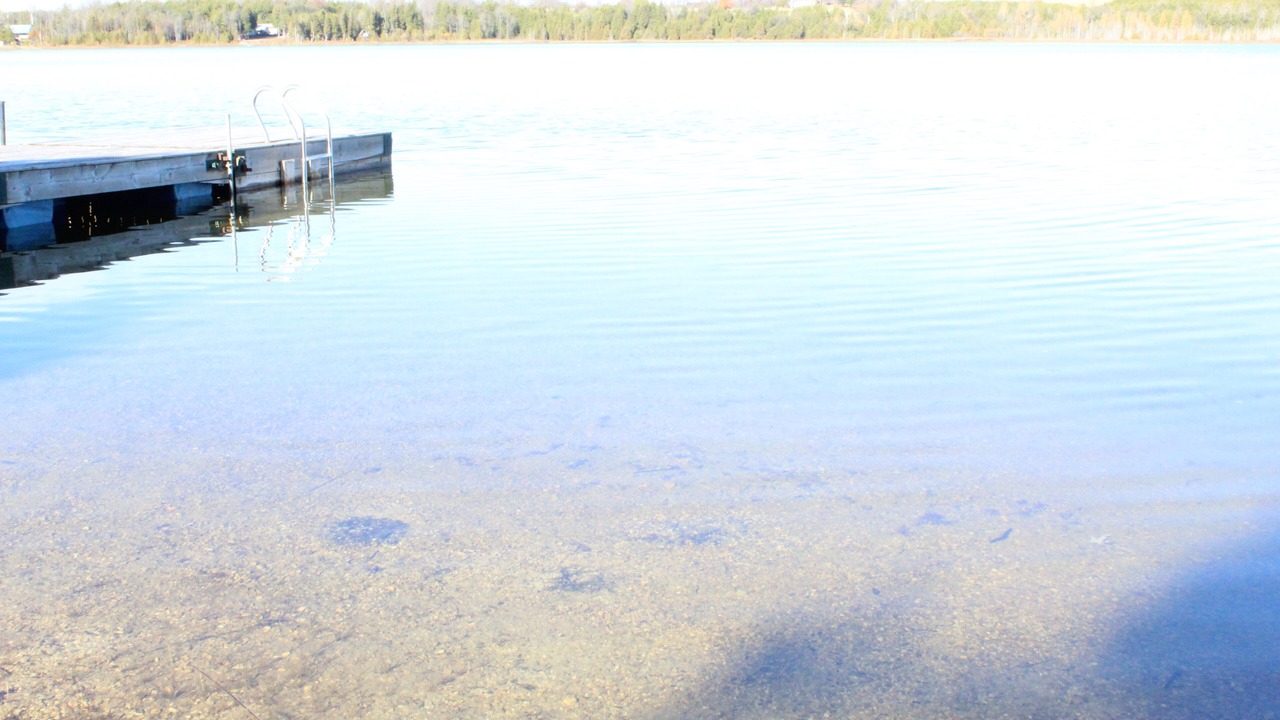 Photo of Others in West Grey