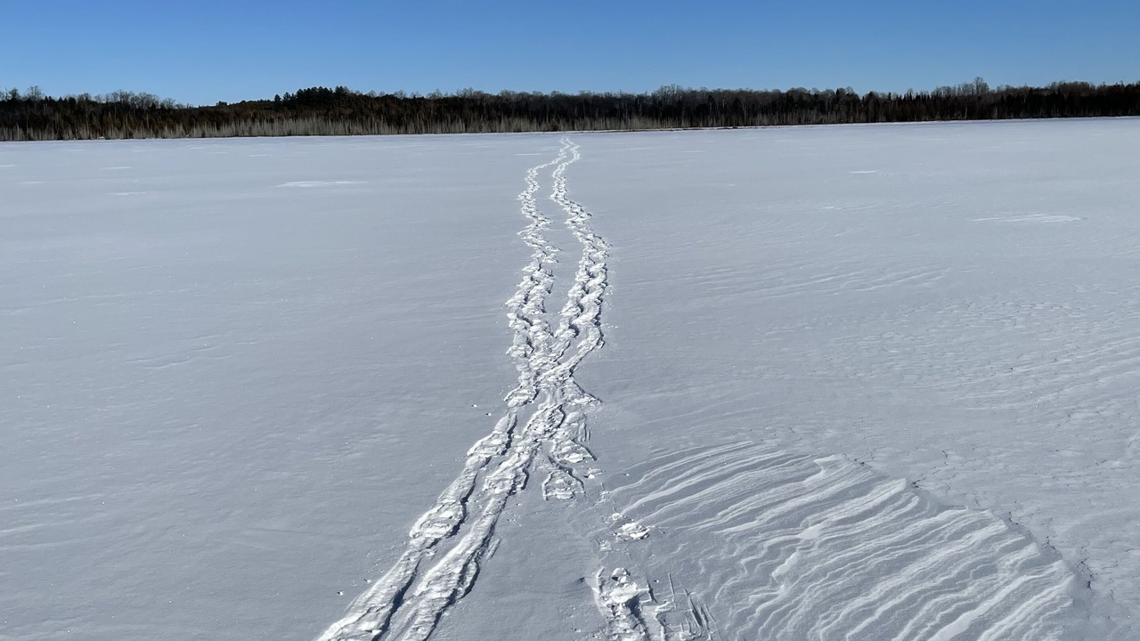 Photo of Others in West Grey