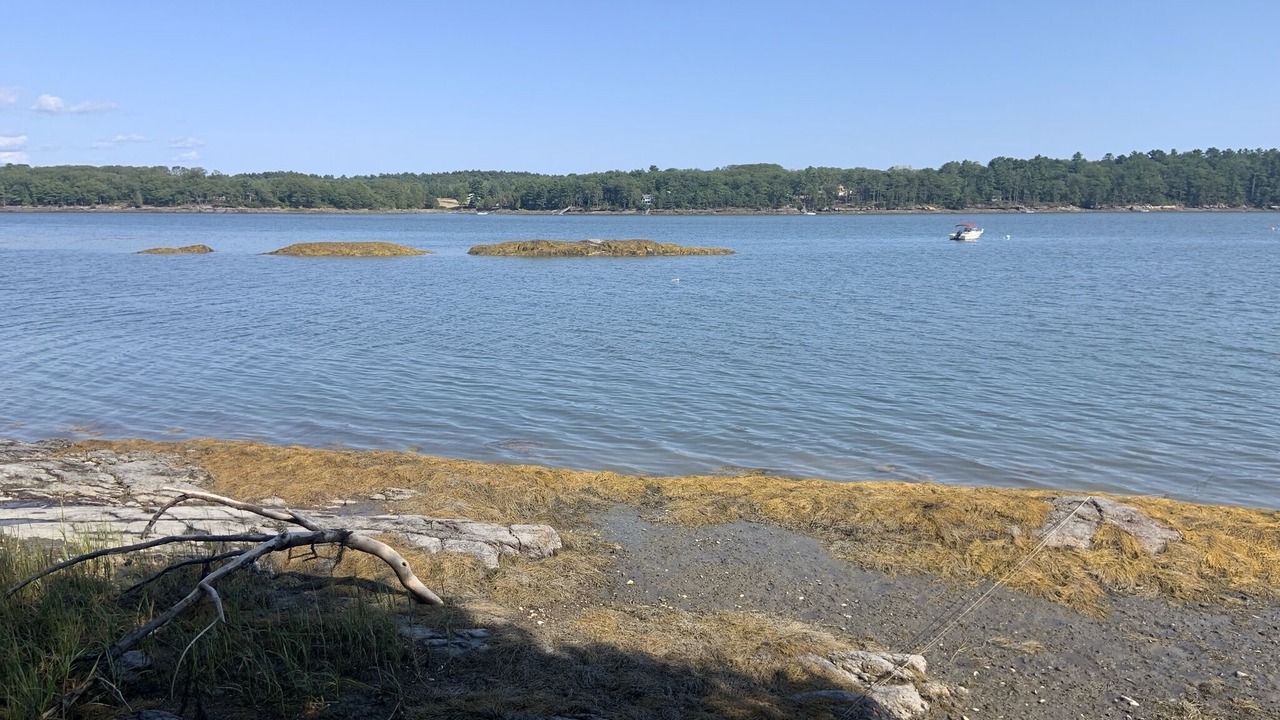 Photo of Others in Brunswick