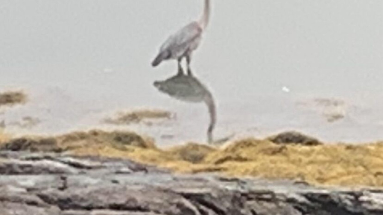 Photo of Others in Brunswick
