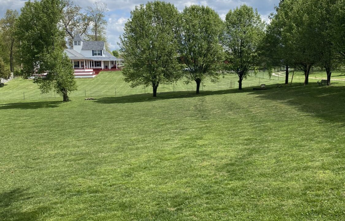 Photo of Outdoor in Palmyra