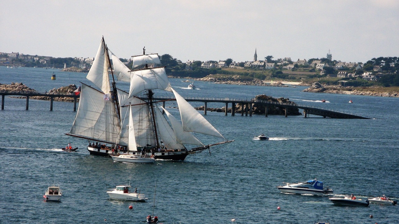 Photo of Others in Roscoff