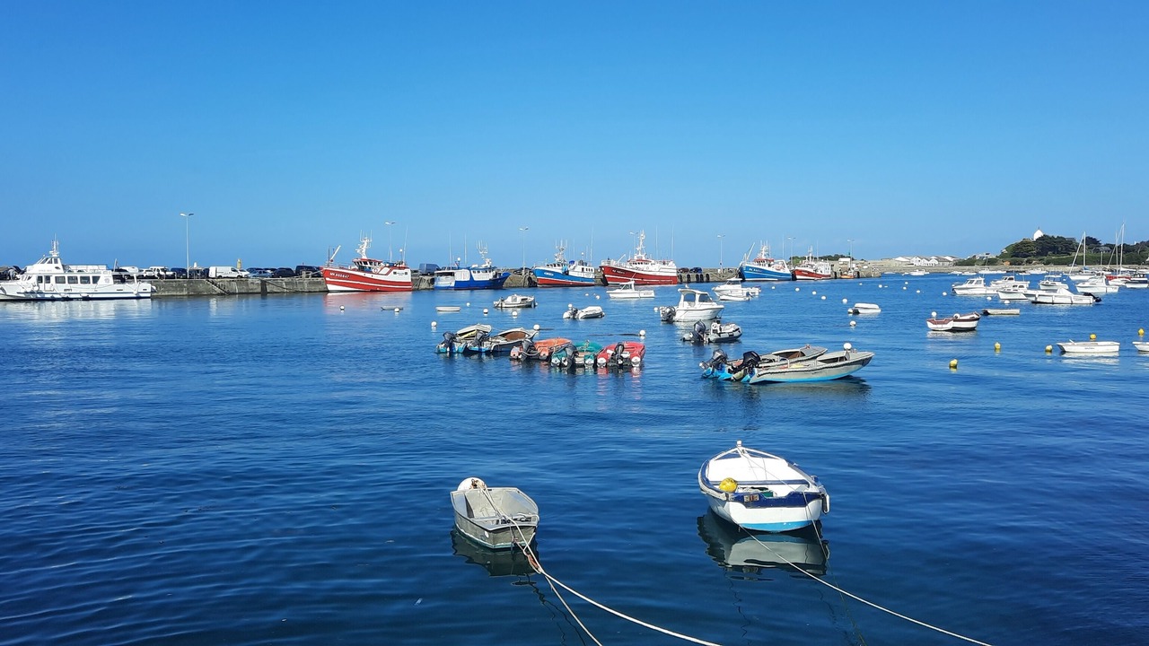 Photo of Others in Roscoff