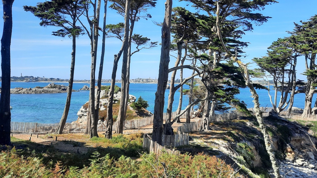 Photo of Others in Roscoff