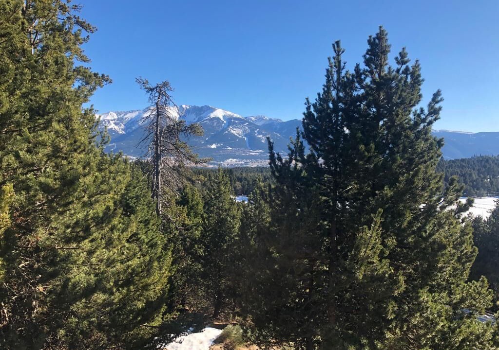 Photo of Others in Pyrenees 2000