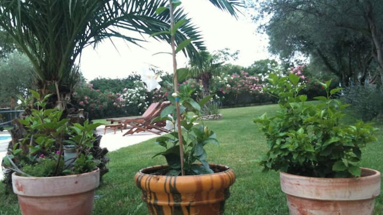 Photo of Outdoor in Mus