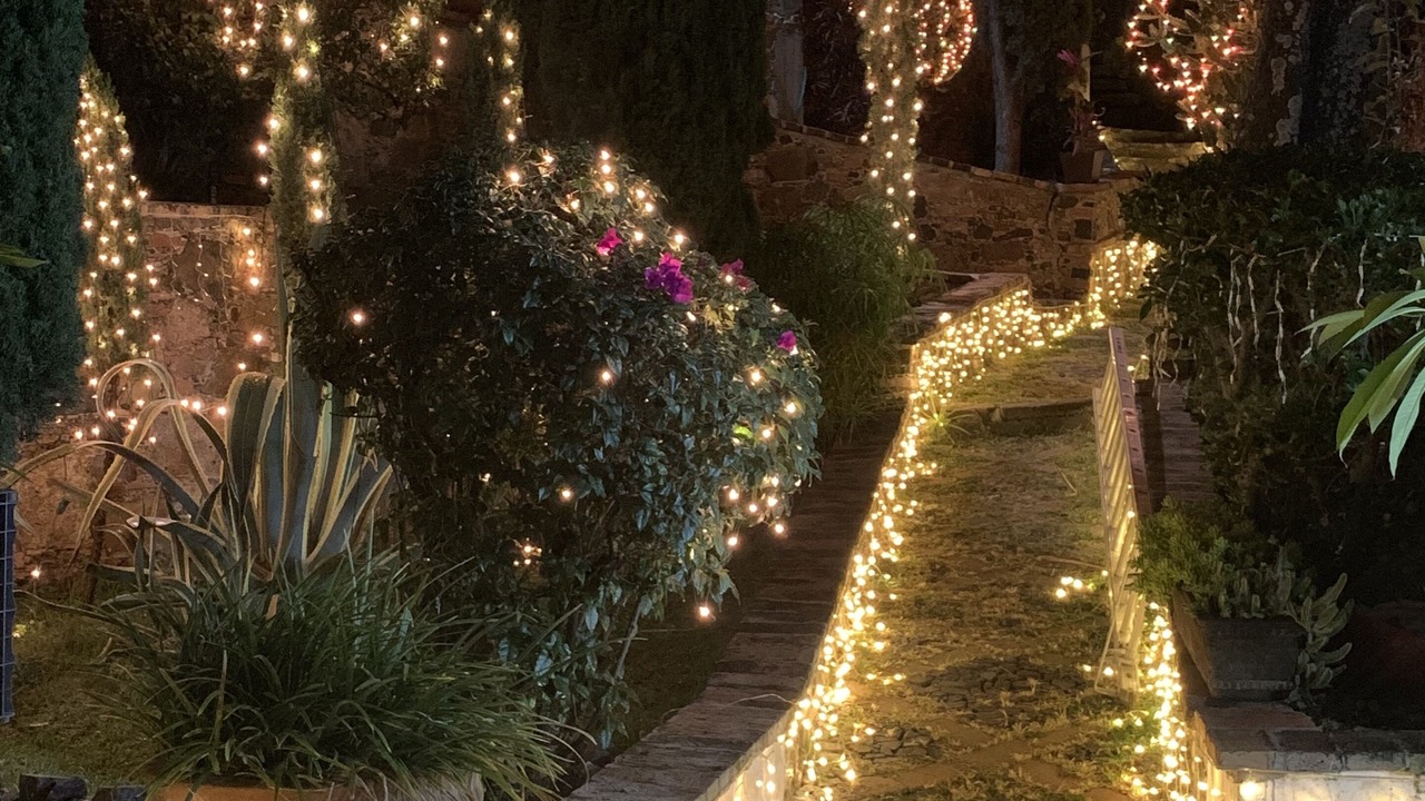 Photo of Outdoor in Taxco